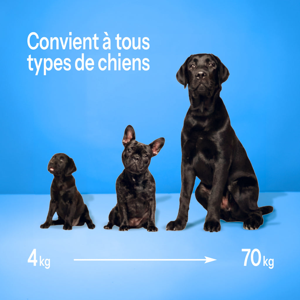 SilenceOne | Dispositif automatique anti aboiement